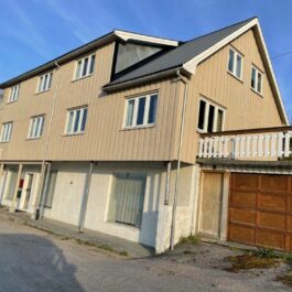 Møretyri Linomal Linoljemaling Sandbrun
