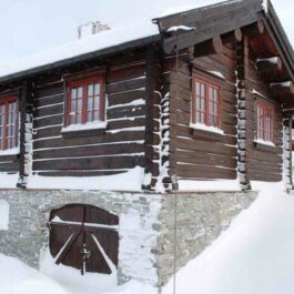 Møretyri Tømmerolje Mørk Vinter